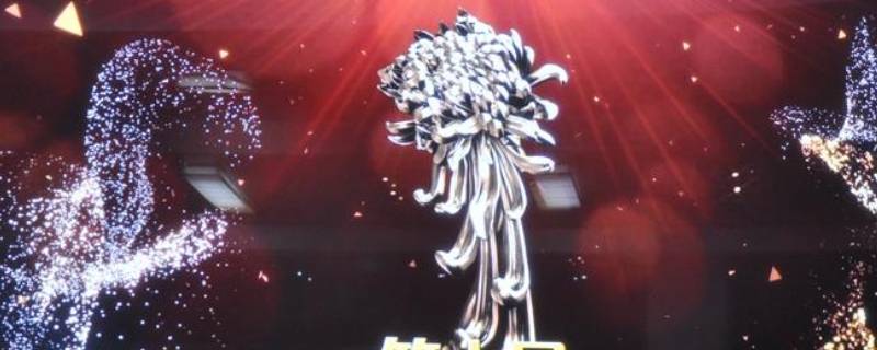 金菊花奖什么意思（2020年金菊花奖）