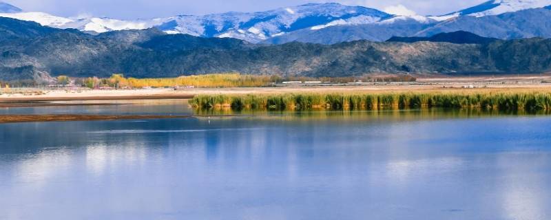 可可托海在哪里（可可托海在哪里属于哪个省）