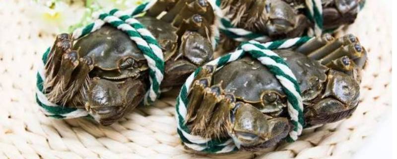 活的螃蟹可以冷冻吗（活的螃蟹可以放冰箱里冷冻吗）