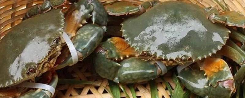 青蟹高压锅要蒸多久 青蟹高压锅蒸多久最佳时间