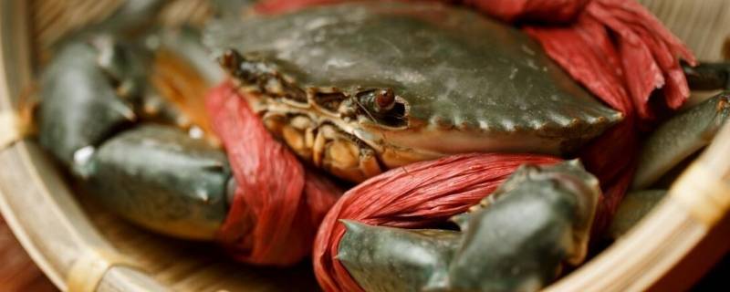 青蟹是河蟹还是海蟹（青蟹是河蟹还是海蟹啊）