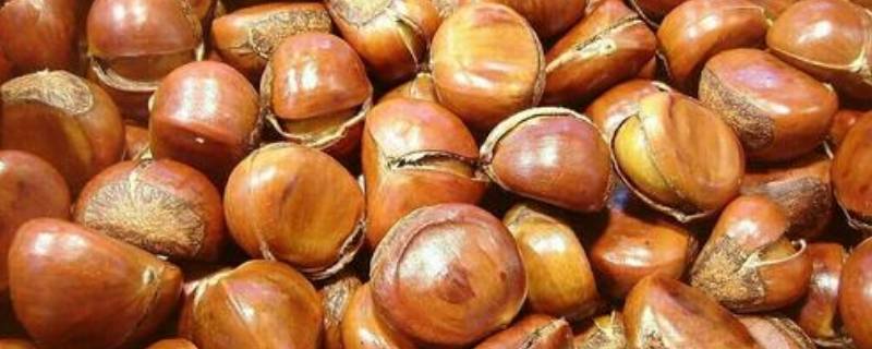 生板栗蒸米饭可以吗 生板栗蒸米饭可以吗怎么蒸