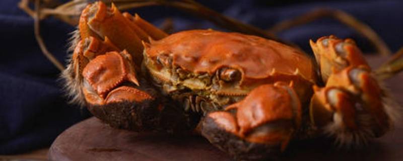 螃蟹冻了半年还可以吃吗（螃蟹冻了半年还可以吃吗视频）