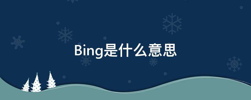 Bing是什么意思 柄是什么意思