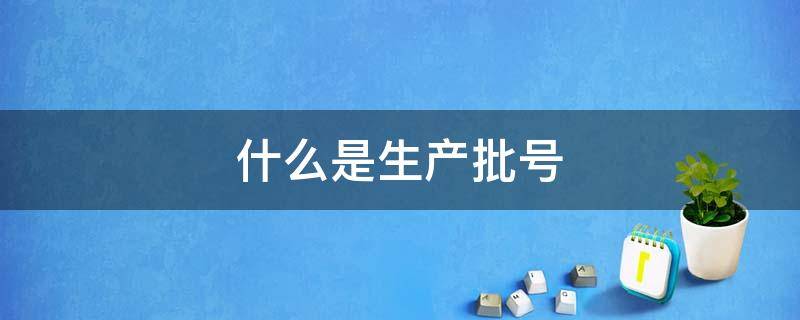 什么是生产批号 什么是生产批号?和生产日期有什么区别?