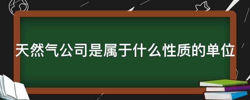 天然气公司是属于什么性质的单位 天然气公司是属于什么性质的单位工资