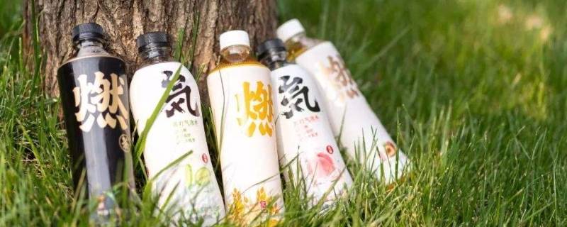 元气森林饮料是哪个公司的（元气森林是日企吗）