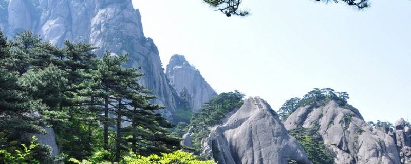 安徽籍贯（安徽籍贯填什么）