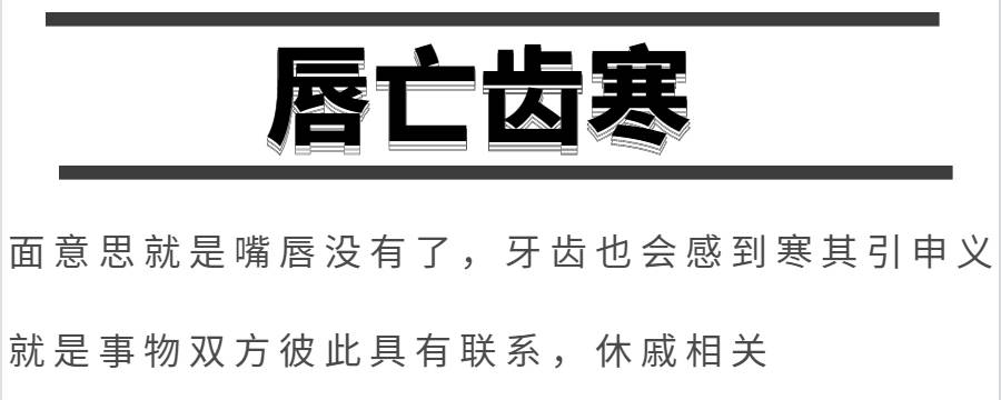 唇亡齿寒体现了什么哲理 唇亡齿寒所包含的哲理