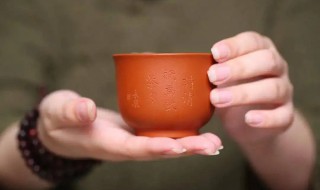 紫砂杯首次使用怎么保养（紫砂杯首次使用怎么保养最好）