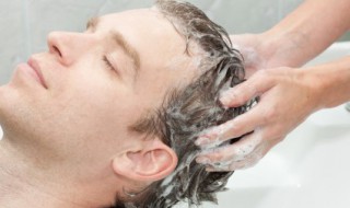 怎么养毛囊（掉头发怎么养毛囊）