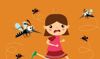 大蚊为什么叫蚊子杀手（大蚊为什么叫蚊子杀手呢）