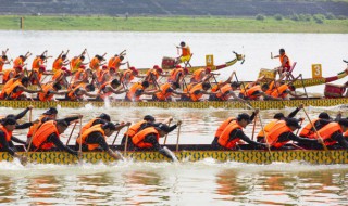 去年端午开什么马（去年中秋节开的什么马）