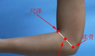 手肘是哪个部位 手肘是哪个部位?