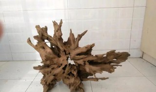 沉木煮完泡多久才能用那（沉木煮完泡多久才能用那种水）