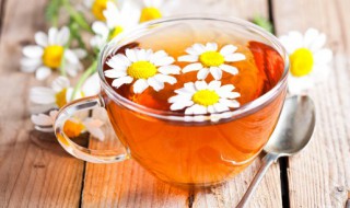 菊花茶能泡多长时间 菊花茶能泡多长时间喝