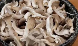 干菌子的清洗方法 干菌子的清洗方法视频