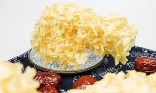 银耳泡多长时间（银耳泡多长时间可以煮）