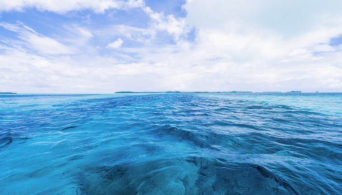 最小的海是什么海 世界上面积最小的海是什么海