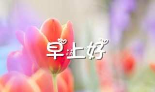 早安发朋友圈的语句（描写早安发朋友圈的语句）