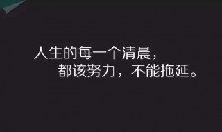满天星的经典一句短句 满天星的经典一句短句图片
