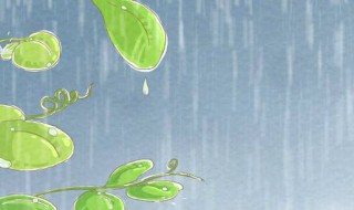 下雨防雨怎么解决 注意防雨怎么说