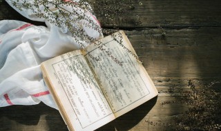 红楼梦好句（红楼梦好句10字）