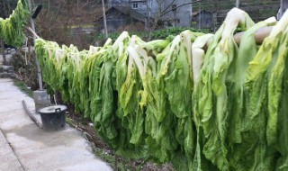 大量蔬菜要怎么保存 大量蔬菜要怎么保存才能放久