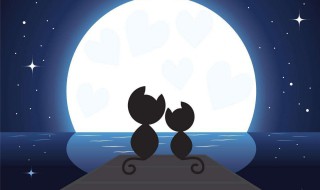 情人节发朋友圈的话（情人节发朋友圈的话搞笑）