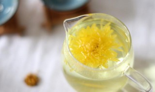 菊花泡水喝有什么好处（贡菊泡水喝有什么功效）