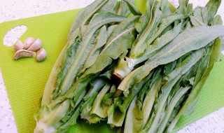 油麦菜的功效和禁忌（油麦菜的功效和禁忌十大致癌蔬）