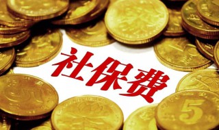 社保可以退吗（社保可以退吗怎么办理）