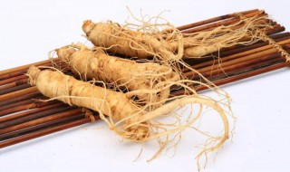 西洋参和人参的区别 西洋参和人参的区别的功效与作用