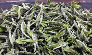 保存生茶的方法（如何保存和贮藏茶）