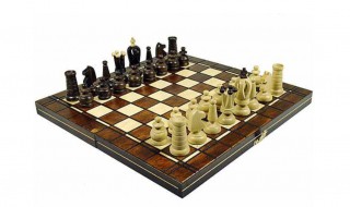 国际象棋怎么玩新手入门 国际象棋初学者入门