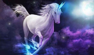独角兽是什么意思（行业独角兽是什么意思）