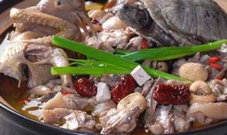 清肺吃什么好（吃什么食物可以清肺）