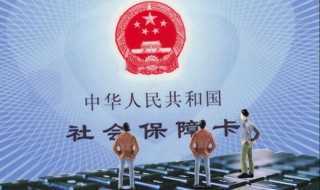 个人灵活就业社保怎么缴纳（个人灵活就业社保缴纳流程）