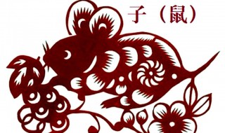 本命年要注意什么属鼠（本命年要注意什么属鼠的人）