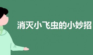 家里有小飞虫怎么消灭（家里有小飞虫怎么消灭小妙招）