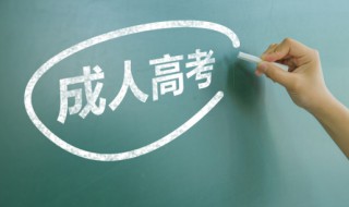 成考有什么专业 成考有哪些专业可以选择