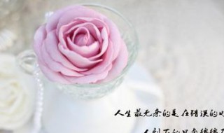 今天太累了的说说 今天太累了的说说发朋友圈