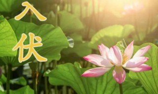 入伏时间2021 入伏时间2022