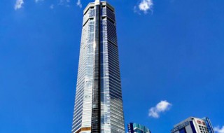 赛格大厦什么时候建的（赛格大厦什么时候完工的）