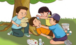 中暑表现 玄凤中暑表现