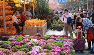 木绣球怎么养? 木绣球怎么养 鲜切花