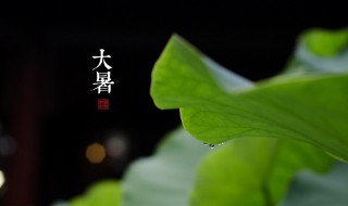 大暑是几伏天 大暑在几伏天