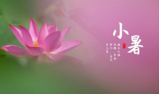 2021年小暑节气意思的简单说明（2021年小暑节气的含义是什么意思）
