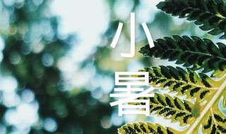 小暑农事歌 大暑小暑儿歌