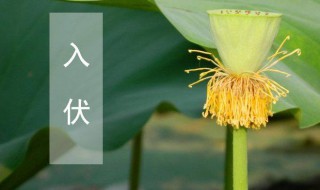 几号入伏2021 几号入伏2021年几号初伏
